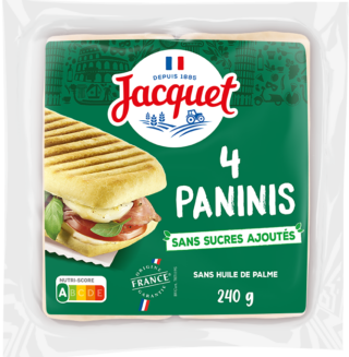 Pain Panini